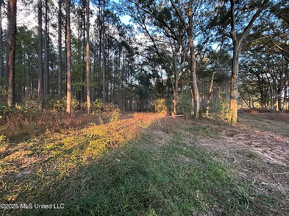 5th image of 4024 Old Mill Rd