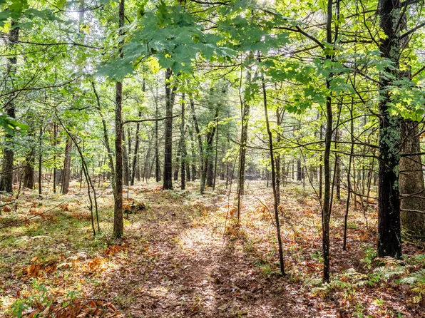 Lots 5 8 & 29 32 Central Park Blvd, Baldwin, MI 49304