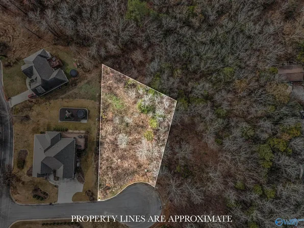 5/6 Kemper Dr, Guntersville, AL 35976