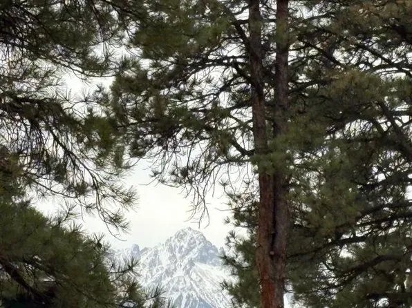 102 Big Canyon Point #2, Ridgway, CO 81432