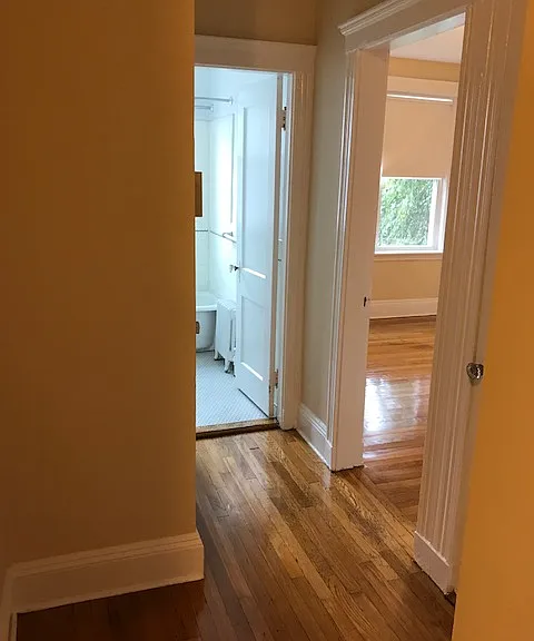 15 Colliston Rd #4 — Photo 17