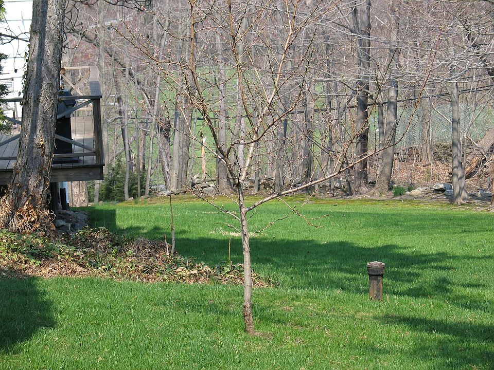 2nd image of 67 Saxon Woods Rd