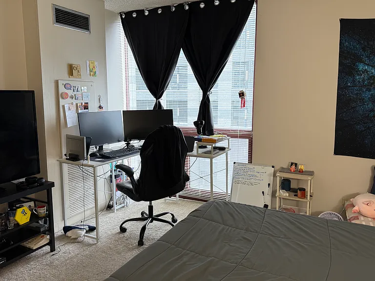 200 N Dearborn St #3204 — Photo 5