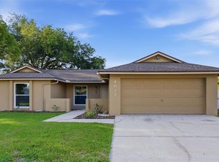 4017 Braesgate Ln, Tampa, FL 33624