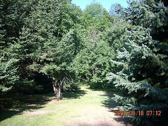 10 acres of beautiful woods