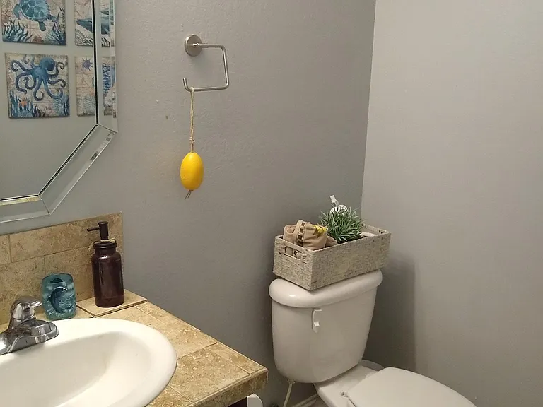 Downstairs Hallway Half Bath