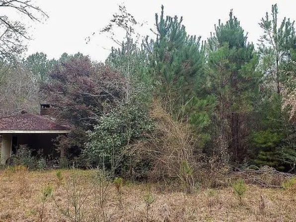 1209 Hilt Fornea Rd, Poplarville, MS 39470
