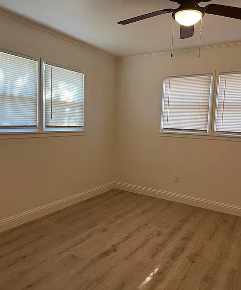 7905 Sinaloa Ave — Photo 5