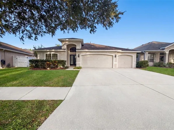 19606 Morden Blush Dr, Lutz, FL 33558