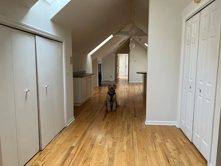 900 N Ashland Ave #4 — Photo 14