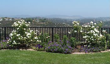 View from back of house