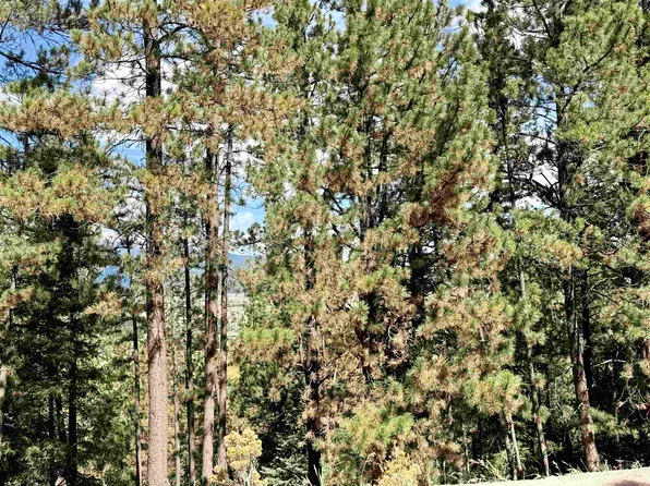 Lot 30A Vail Ave, Angel Fire, NM 87710