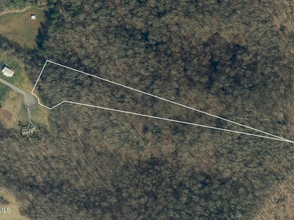 117 Buckner Dr, Roan Mountain, TN 37687