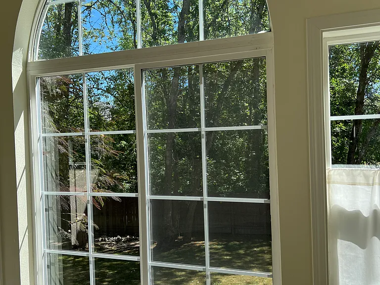 Picture window facing greenspace