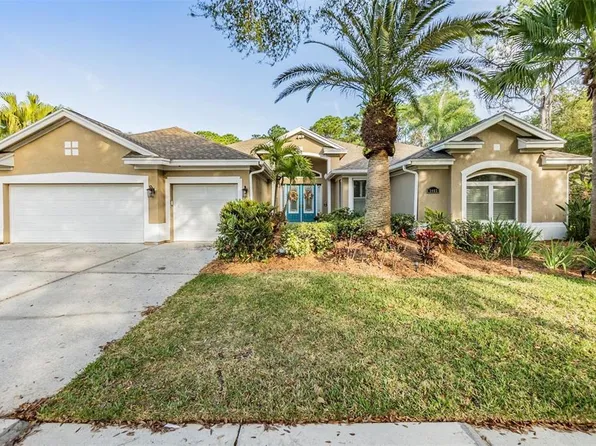 5403 Burnt Hickory Dr, Valrico, FL 33596