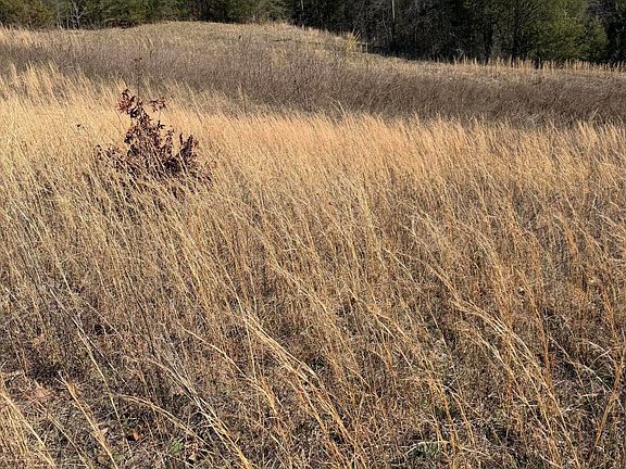 3rd image of Shanks Gap Rd