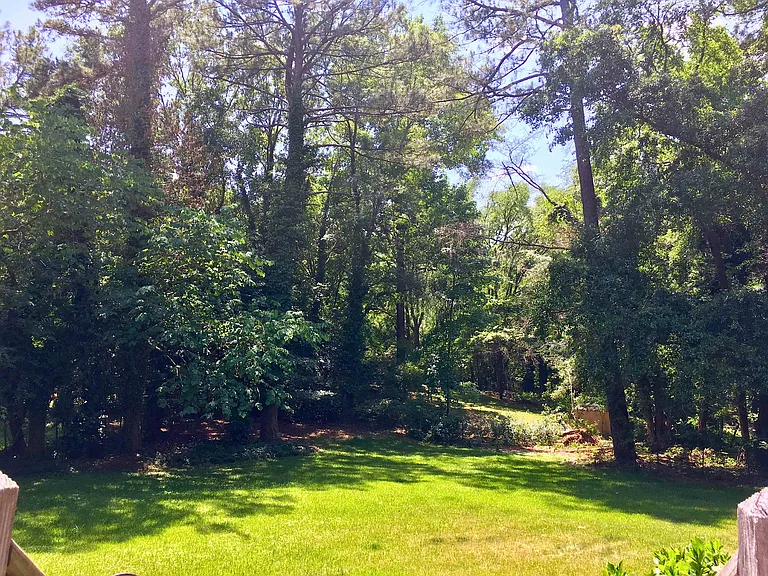 110 Rivermont Rd — Photo 15