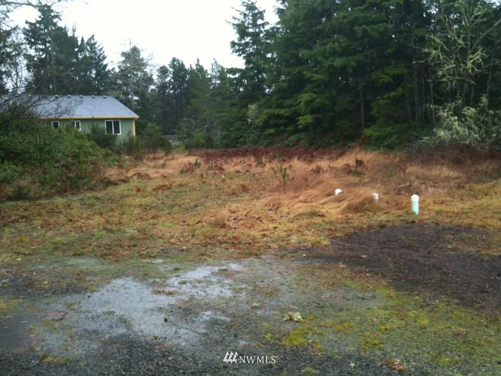 31000 N Place photo 1