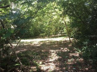 12 W Ella J Gilmore St, Apopka, FL 32703
