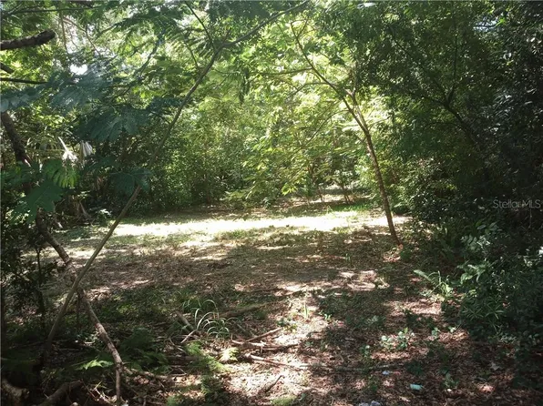 12 W Ella J Gilmore St, Apopka, FL 32703