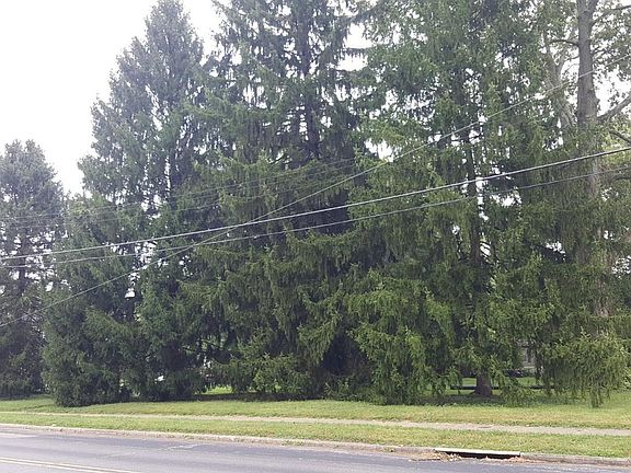 2nd image of 810 Front St