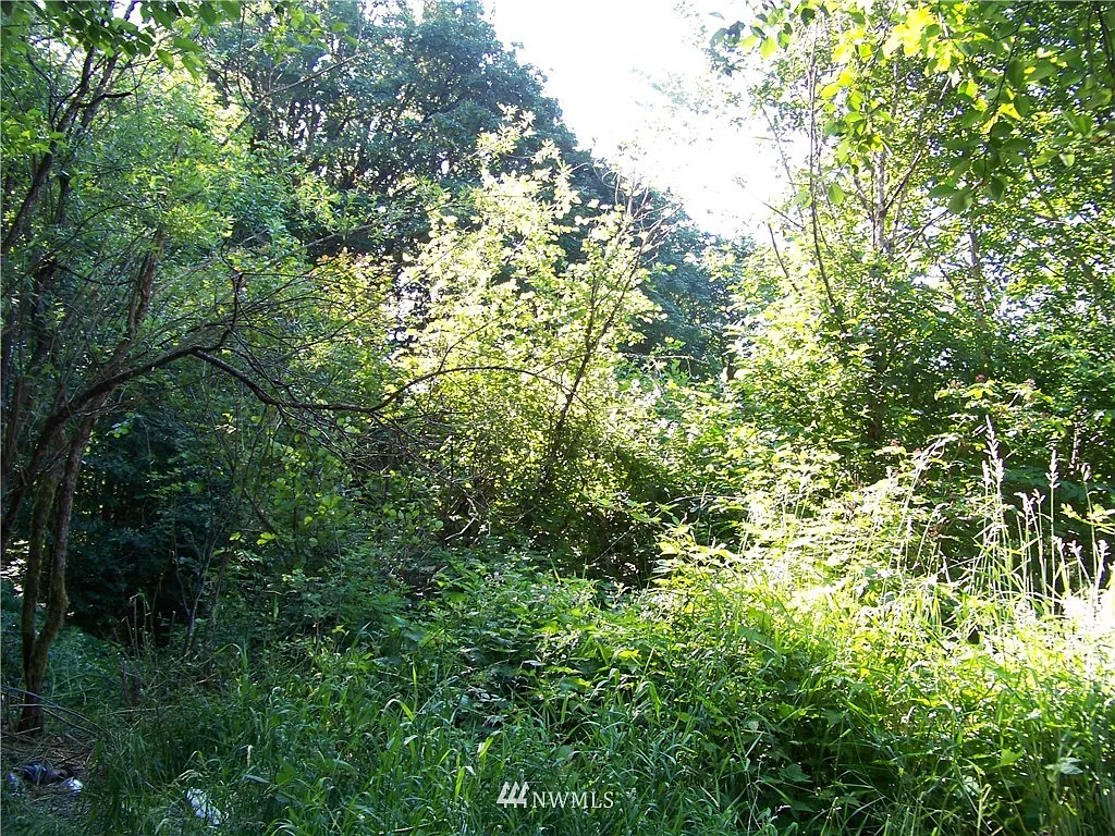 0 0 Cline Road photo 1