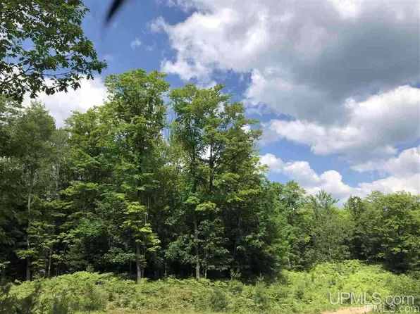 LOT Maplewood Dr #G, Gwinn, MI 49841