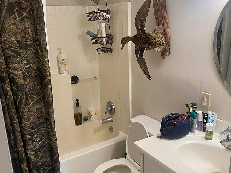 503 Overstreet Dr — Photo 8