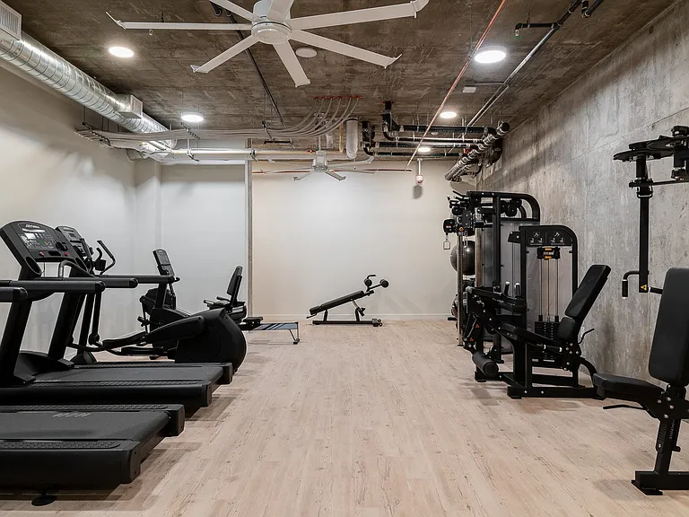 The Wilder Los Angeles Brand New — Photo 13