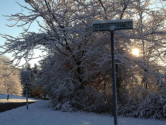 Welcome to our Culdesac