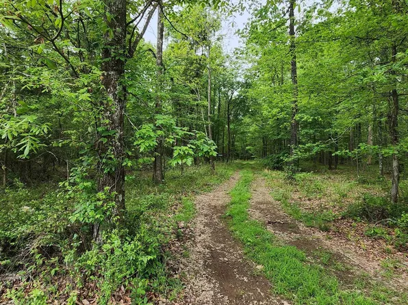 Kinsey Mountain Rd, Bonnerdale, AR 71933