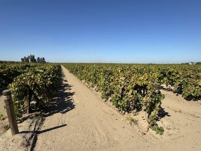 1 S Bishop Ave, Kerman, CA, 93630