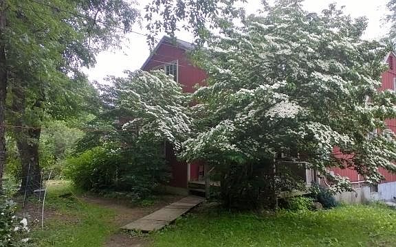 Front of house with dogwood 