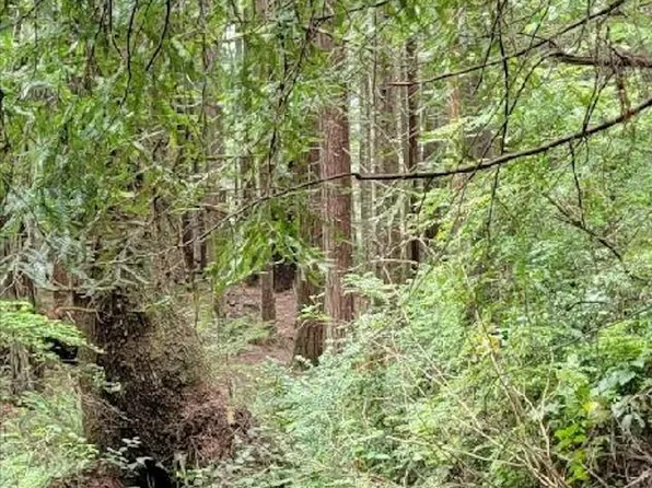 755 Elk Creek Rd, Crescent City, CA 95531