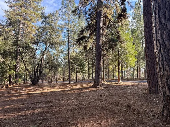 19045 Pine Dr E, Pioneer, CA 95666