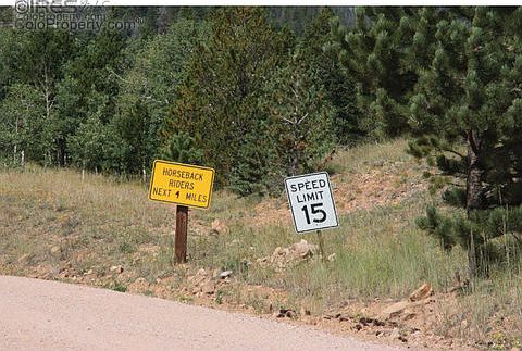 2nd image of 50 Marmot Dr