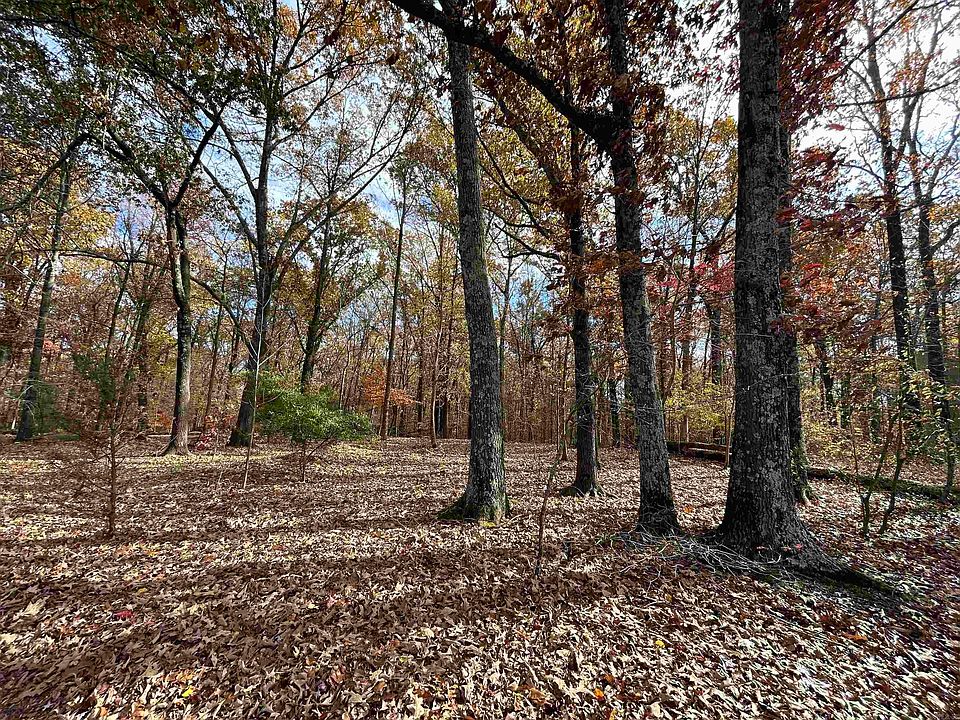 2nd image of County Road 308