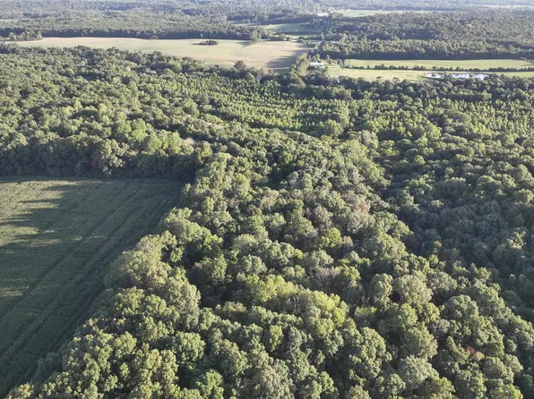 0 Flatt Woods Rd, Simpson, IL 62985