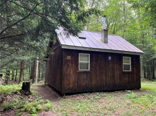 35 Porcupine Ln, Altmar, NY 13302