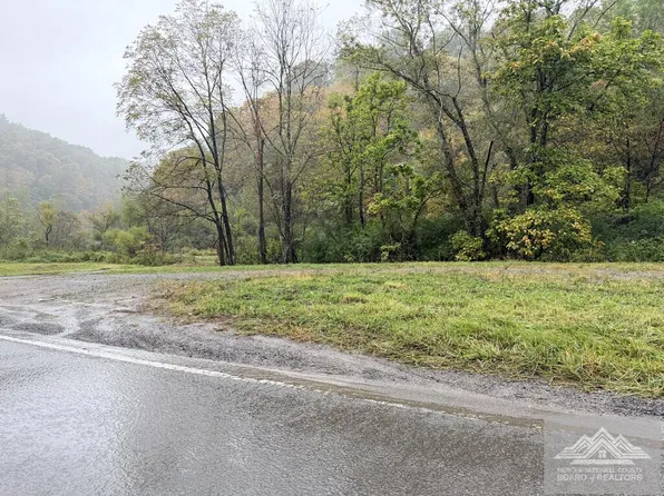 1569 Crane Creek Rd, Rock, WV 24747