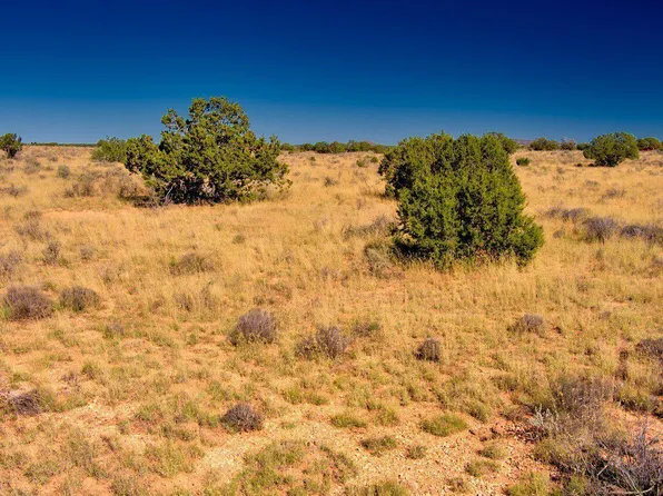 3196 Laurence Dr, Williams, AZ 86046