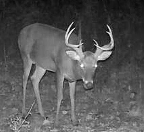 5th image of Swamp Rd Lot A-e