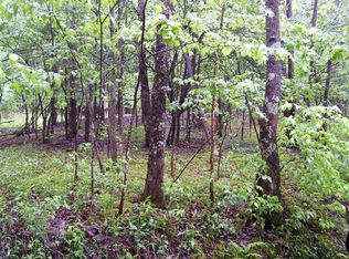 0 Charlotteville Rd, Worcester, NY 12197