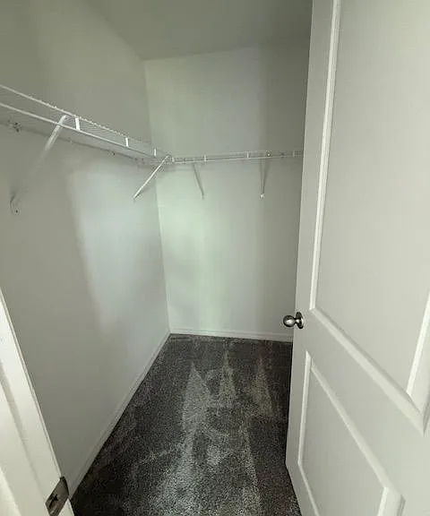 5236 Luisa Ct — Photo 16