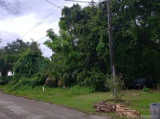 519 Josie St, New Smyrna Beach, FL 32168