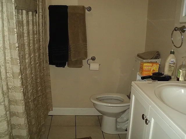 Bathroom Lower