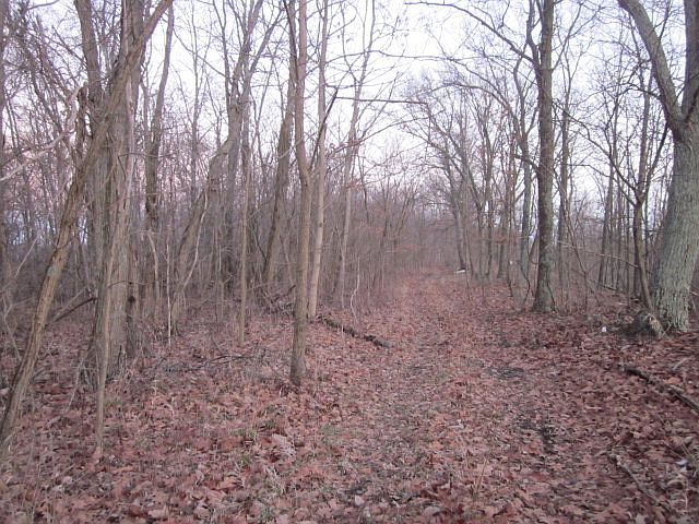 1st image of Wisecup Hill Road