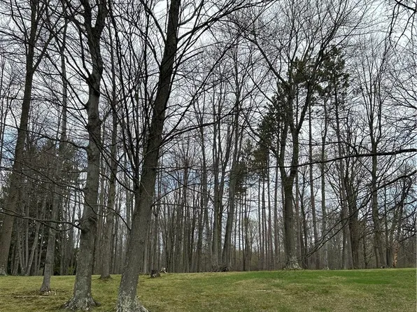 170 W Main Street Us Rte #322, Orwell, OH 44076