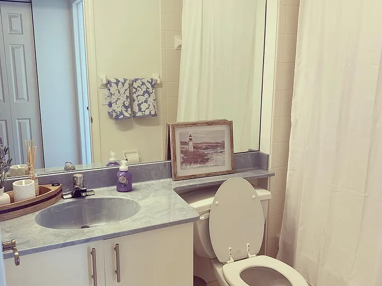 Second bathroom with a tub