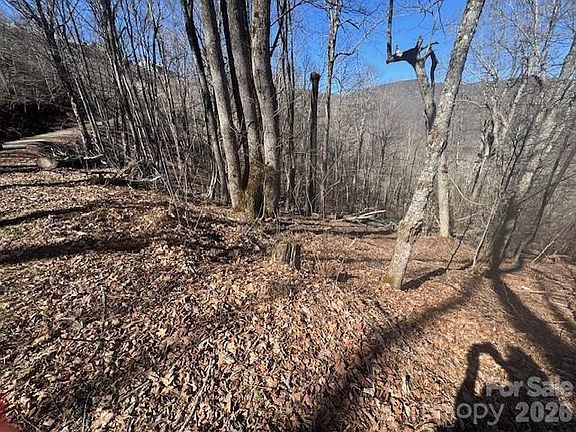 5th image of 11 Zebulon Ln